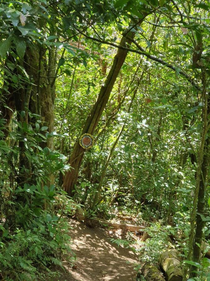 Apartamento Artesana Monteverde Bagian luar foto